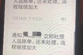 南和南和专业催债公司，专业催收